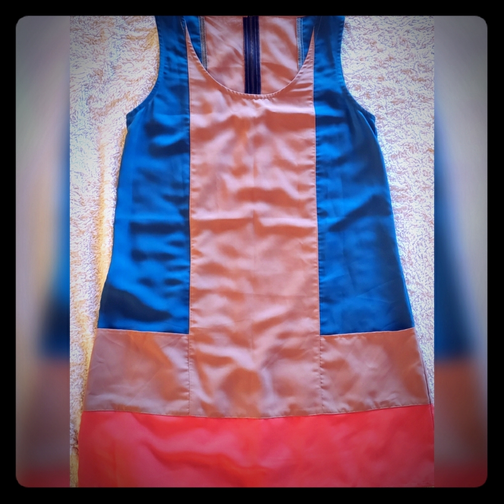 Retro Inspired Color Block Mini Dress
